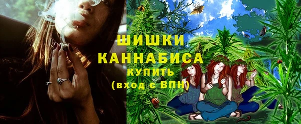 индика Пролетарск