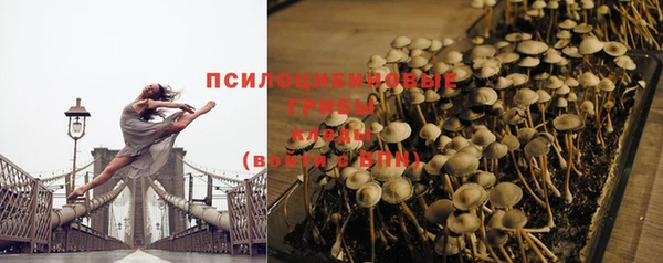 индика Пролетарск